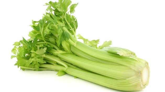 Celery (CA)