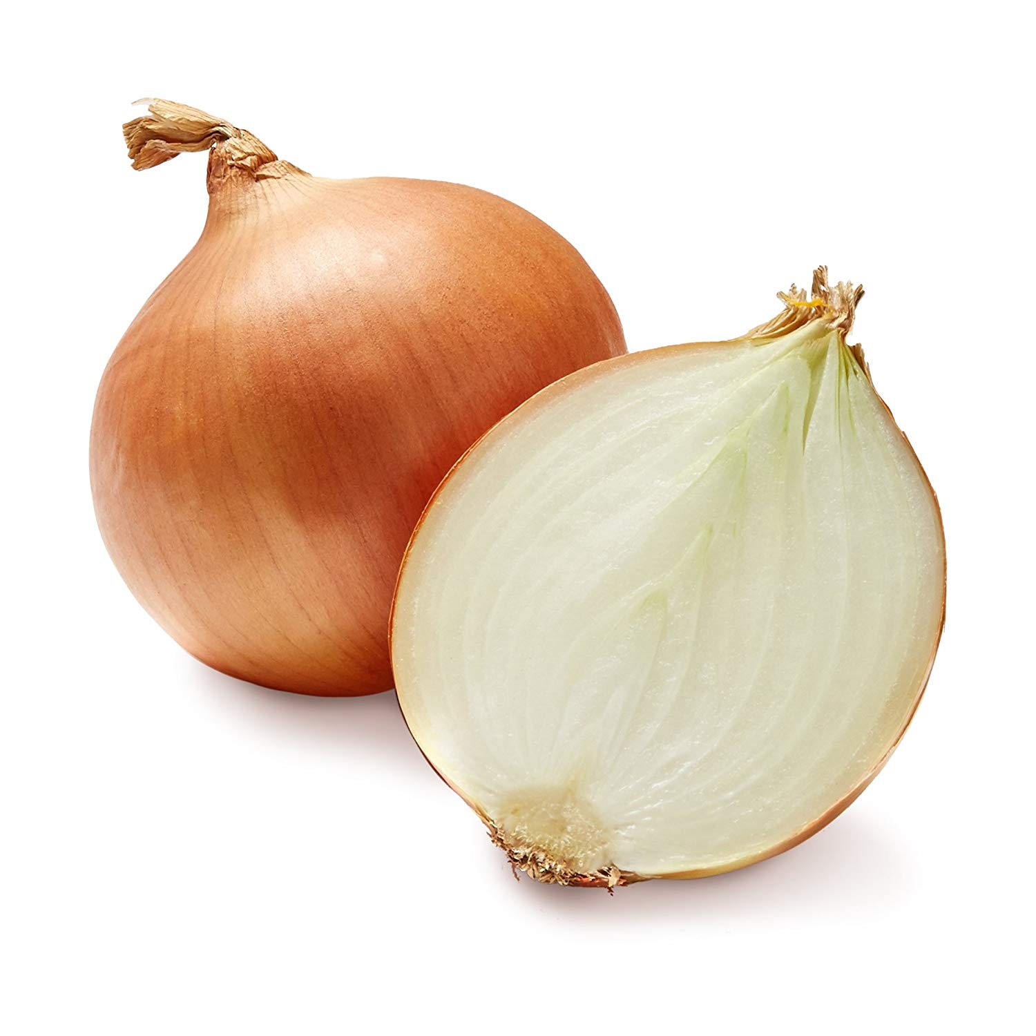 Onion-Yellow (WI)
