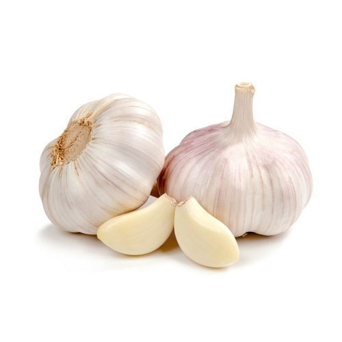 Garlic (US)