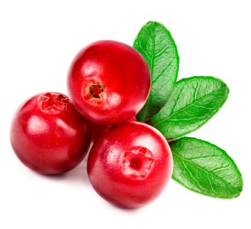 Cranberry (CAN)