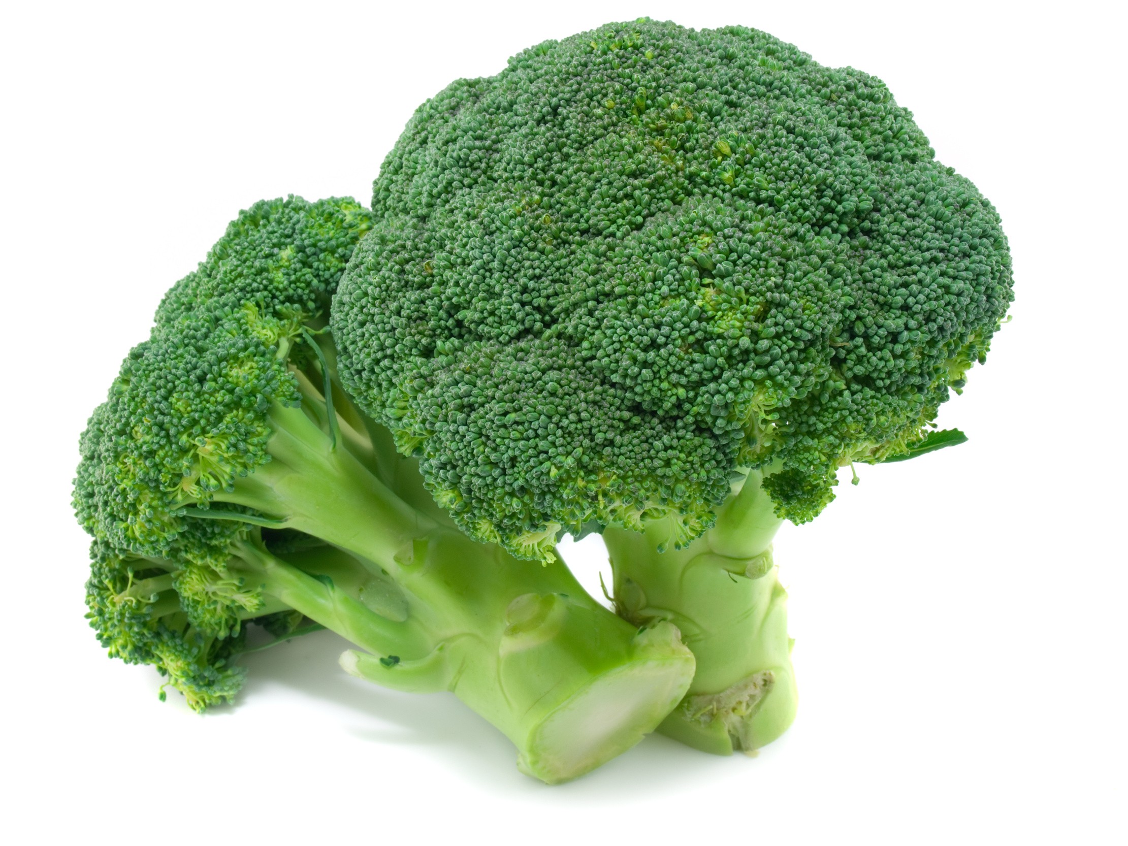 Broccoli (CA)