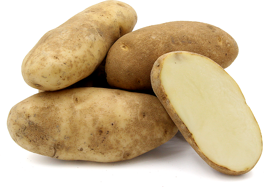 Potato-Russet (WA)